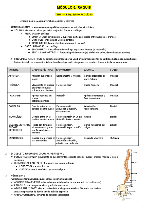 Miniatura del documento ANATOMIA-2.pdf