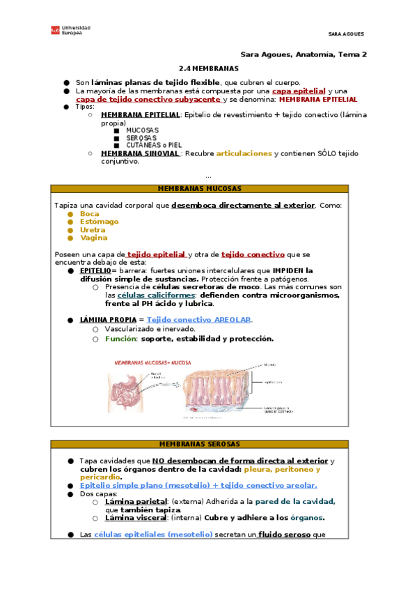Miniatura del documento 2.4-MEMBRANAS.docx