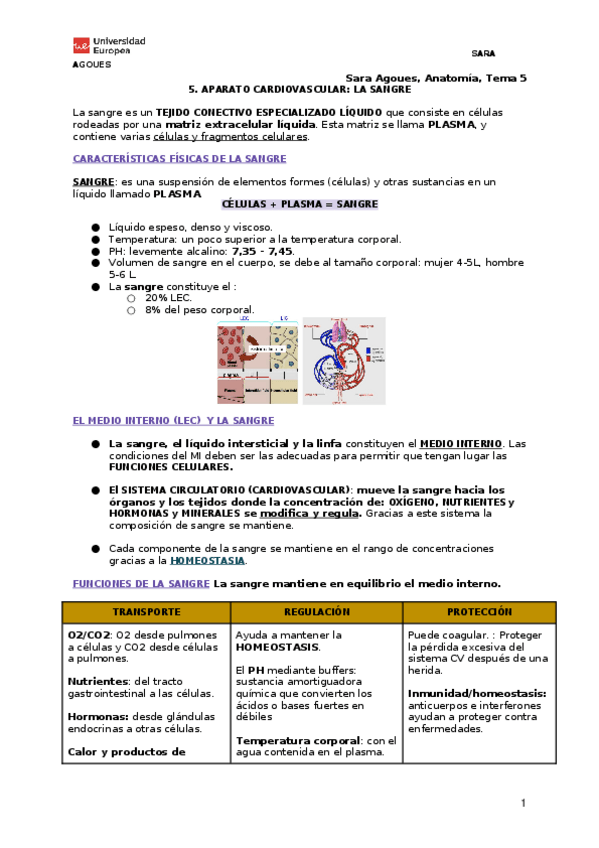 Miniatura del documento 5.-LA-SANGRE.docx