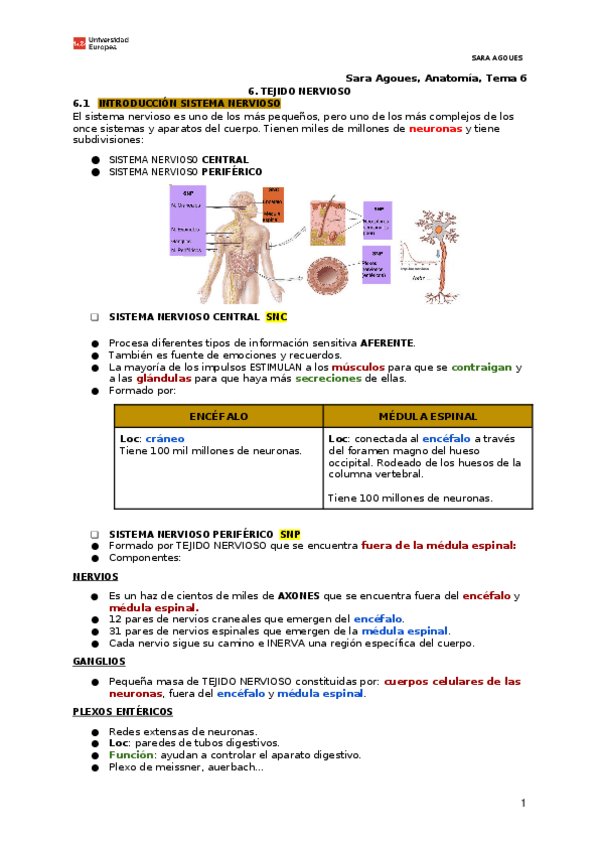 Miniatura del documento 6.1-6.2-TEJIDO-NERVIOSO.docx