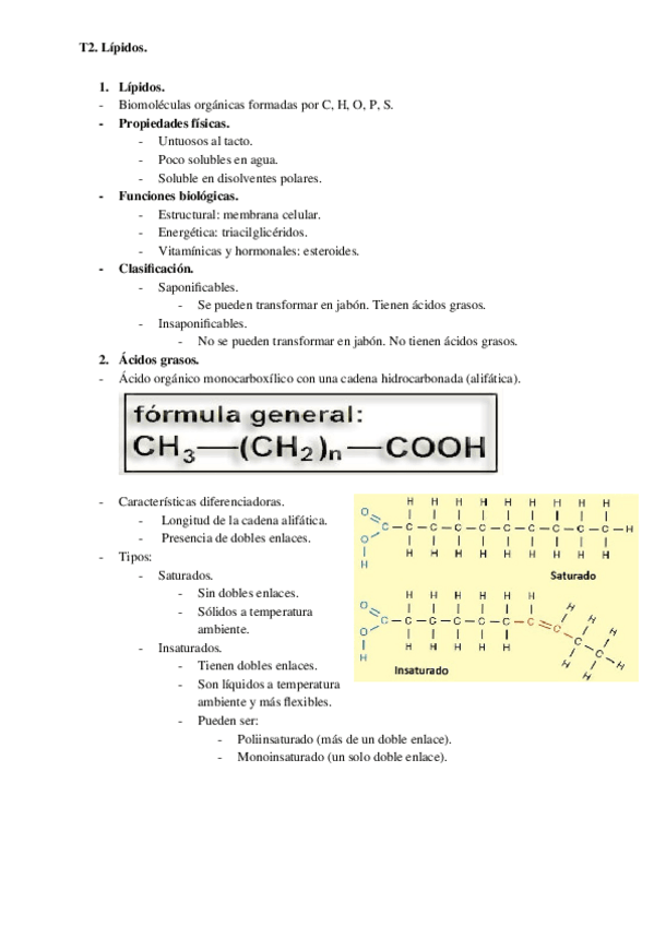 Miniatura del documento T2.LIpidos.-Biologia..docx