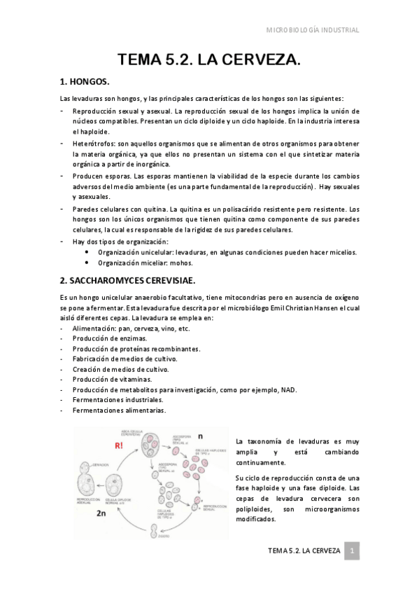 Miniatura del documento TEMA-5.pdf