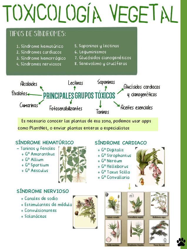 Miniatura del documento Toxicologia-vegetal-completa.pdf
