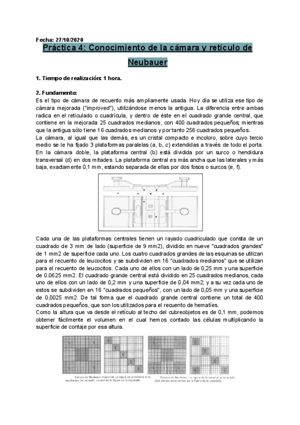 Miniatura del documento P4-Conocimiento-camara-y-reticulo-Neubauer-.pdf