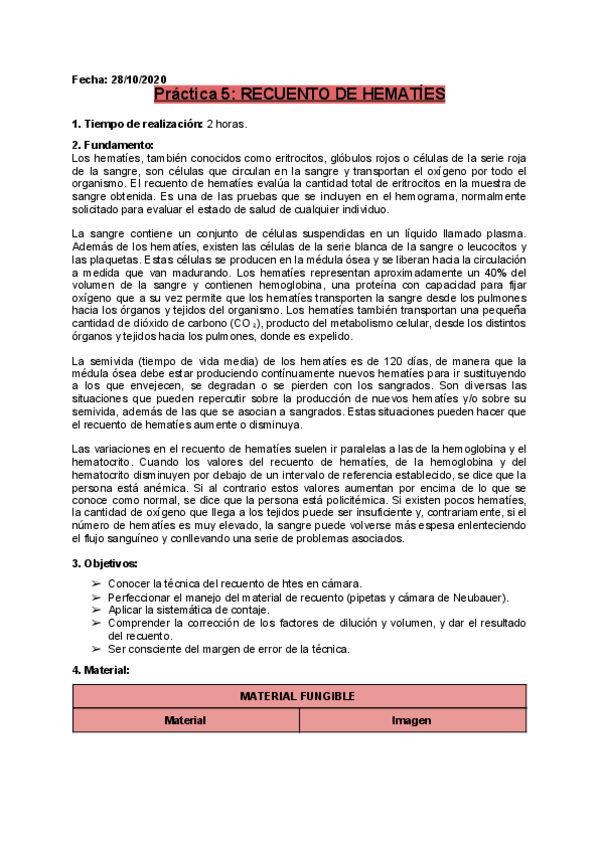 Miniatura del documento P5-Recuento-de-htes.pdf