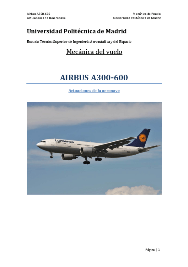 Miniatura del documento Trabajo-A300-600.pdf