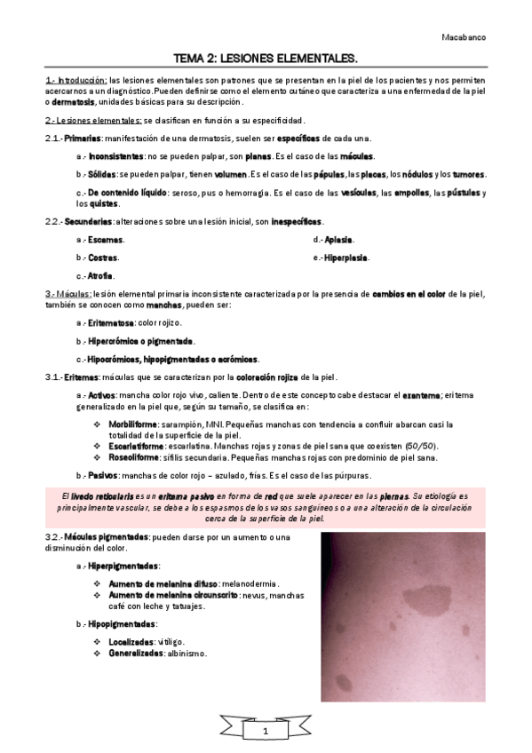 Miniatura del documento TEMA-2-LESIONES-ELEMENTALES.pdf