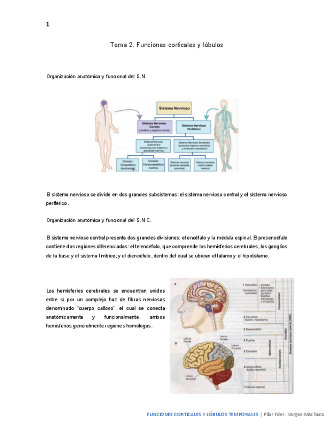 Miniatura del documento Tema-2.pdf