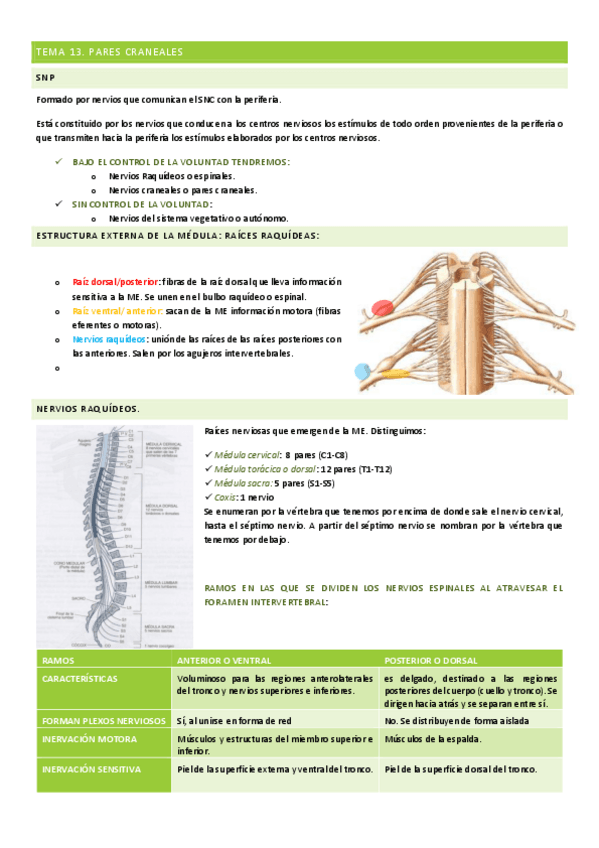 Miniatura del documento TEMAS-13-14.pdf