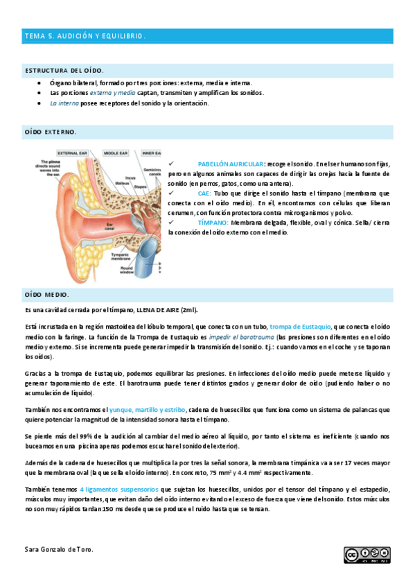 Miniatura del documento TEMA-5.pdf