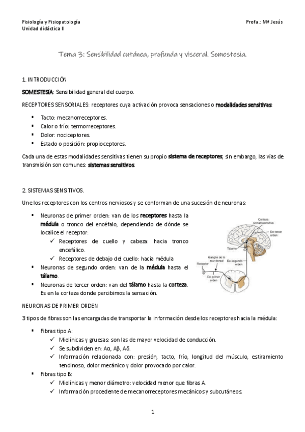 Miniatura del documento Tema-3.pdf