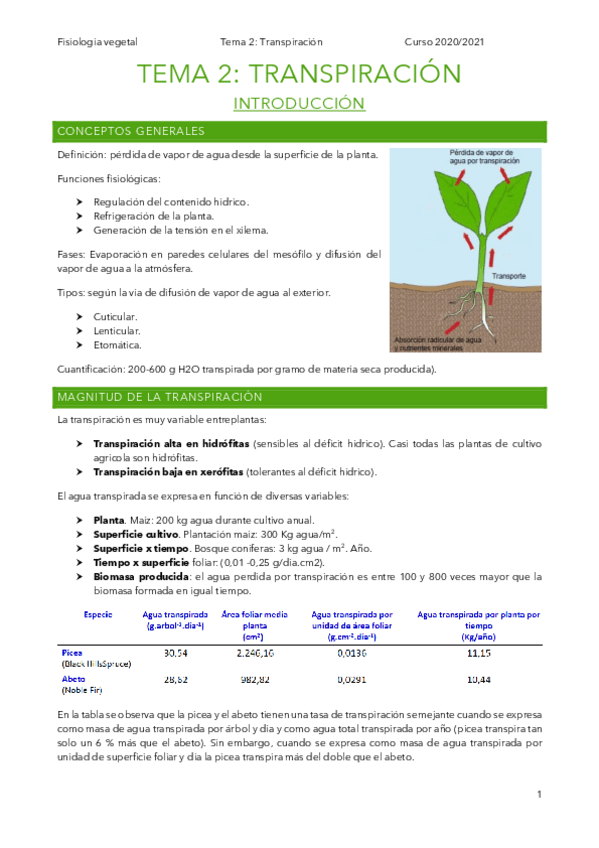 Miniatura del documento t2.pdf