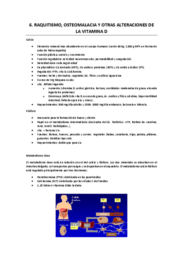 Miniatura del documento 6.RAQUITISMO Y OSTEOMALACIA.pdf