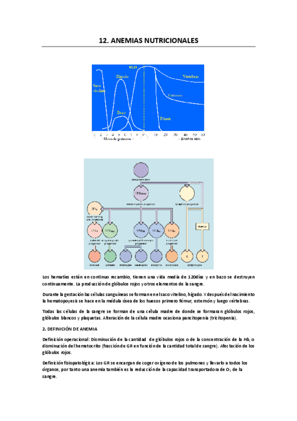 Miniatura del documento 12. ANEMIAS NUTRICIONALES.pdf