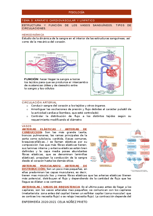 Miniatura del documento TEMA-2-CARDIOLOGIA.docx