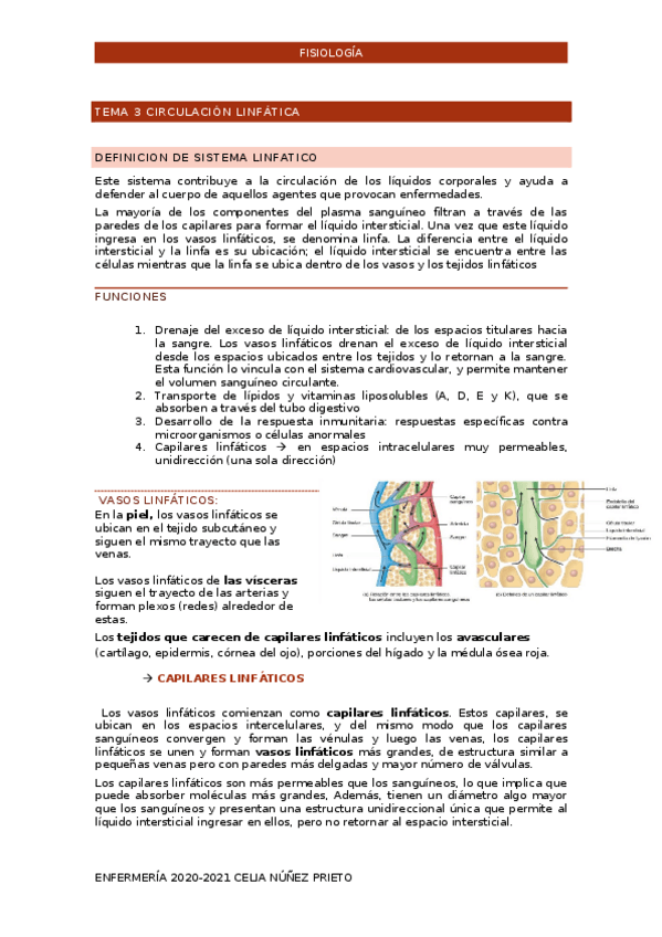 Miniatura del documento TEMA-3-CARDIOLOGIA.docx
