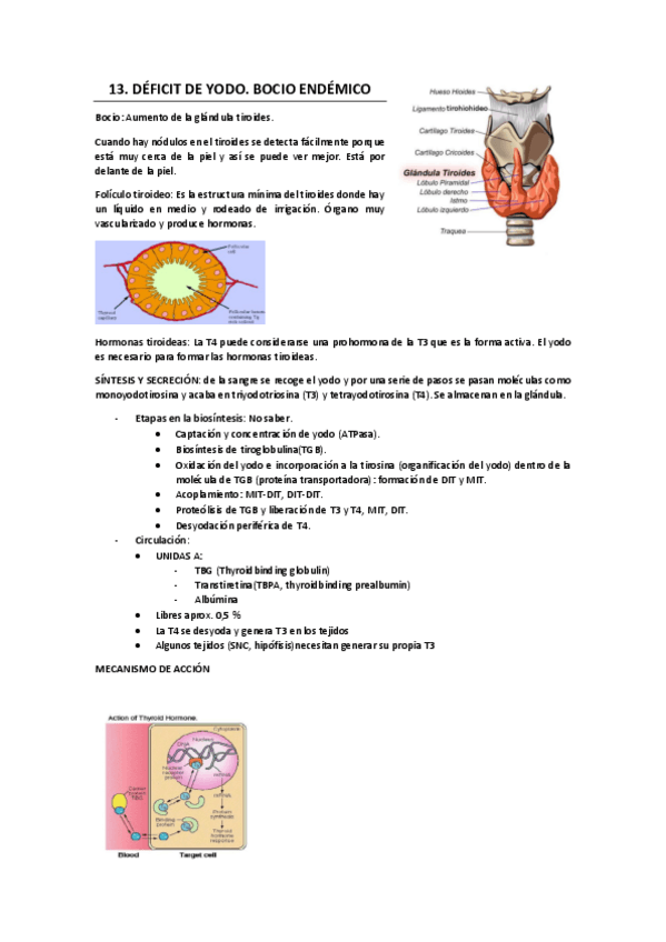 Miniatura del documento 13. BOCIO.pdf