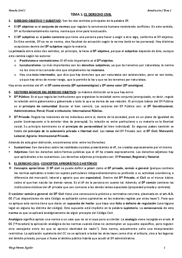 Miniatura del documento TEMA 1 EL DERECHO CIVIL.pdf