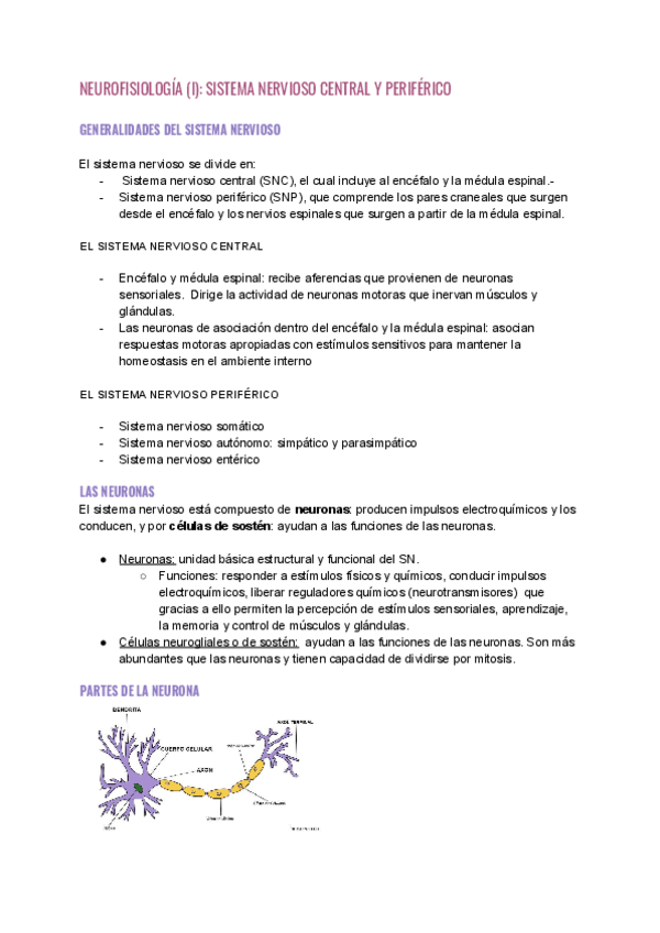 Miniatura del documento NEUROFISIOLOGIA-I-SISTEMA-NERVIOSO-CENTRAL-Y-PERIFERICO.pdf