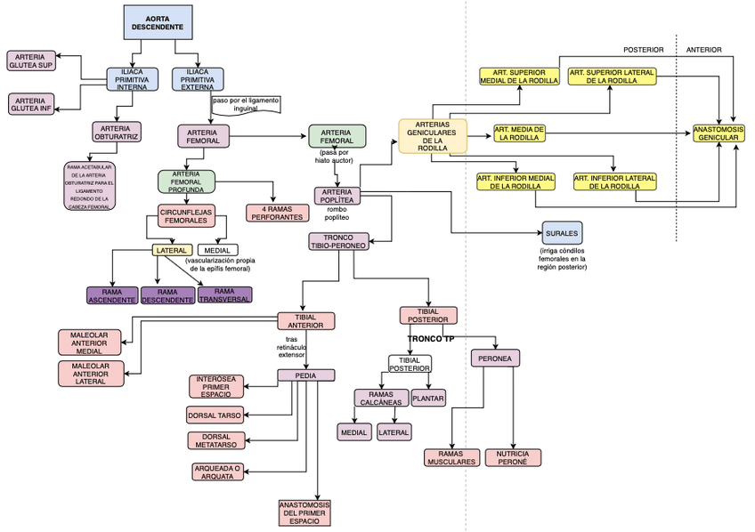 Miniatura del documento ARTERIAS-MMII.png