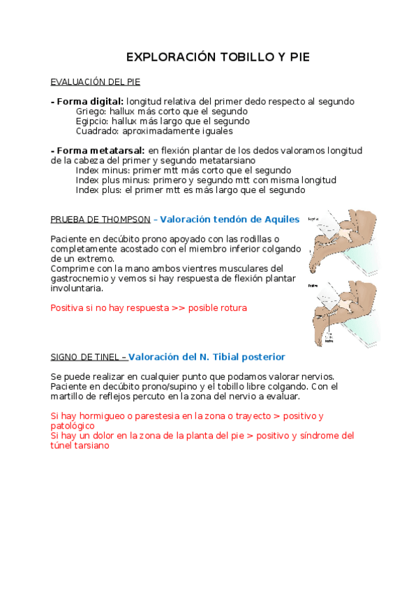 Miniatura del documento EXPLORACION-TOBILLO-Y-PIE.docx