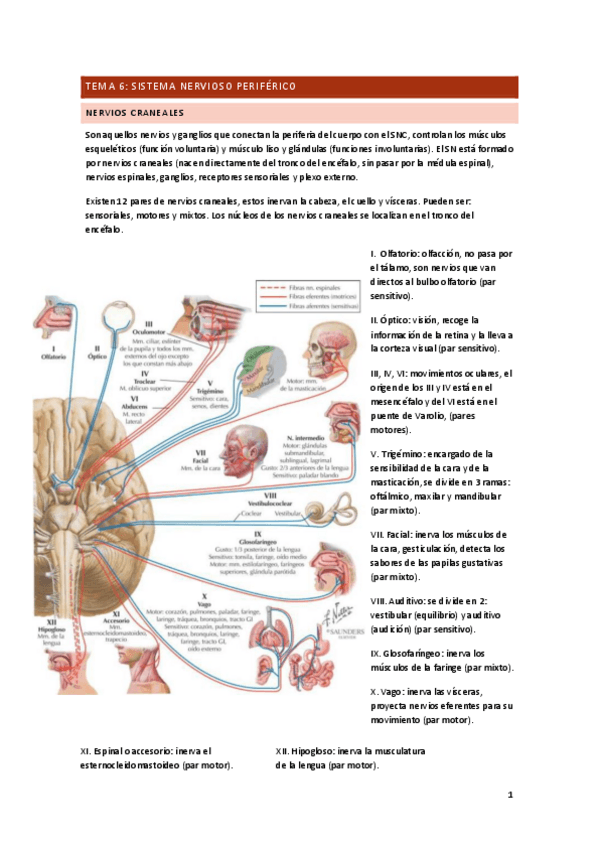 Miniatura del documento T.pdf