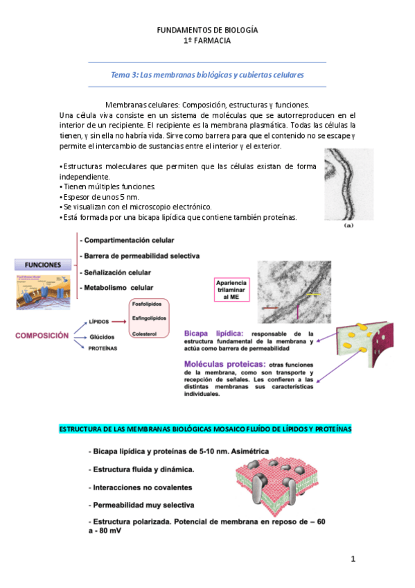 Miniatura del documento Tema-3.pdf
