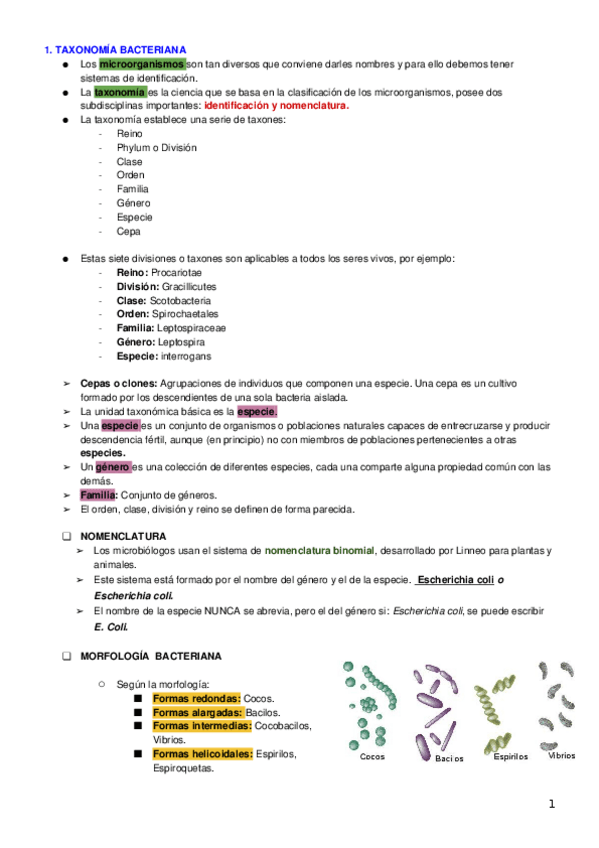 Miniatura del documento Tema-2-Observacion-de-los-microorganismos.docx