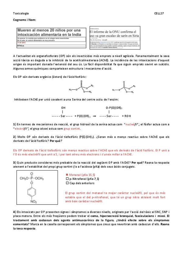 Miniatura del documento Activitat OP.pdf