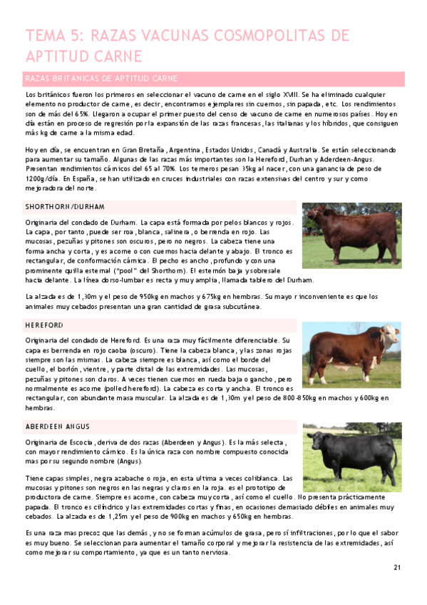 Miniatura del documento Tema-5.pdf