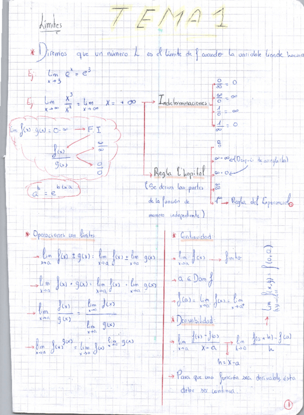 Miniatura del documento AMApuntesTodoslosTemas.pdf