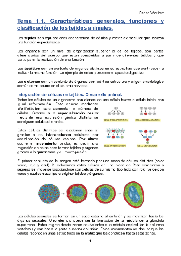 Miniatura del documento Tema 1.1. BCH II.pdf