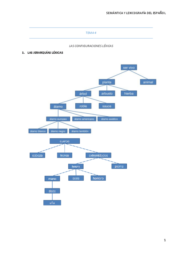 Miniatura del documento TEMA-4.pdf