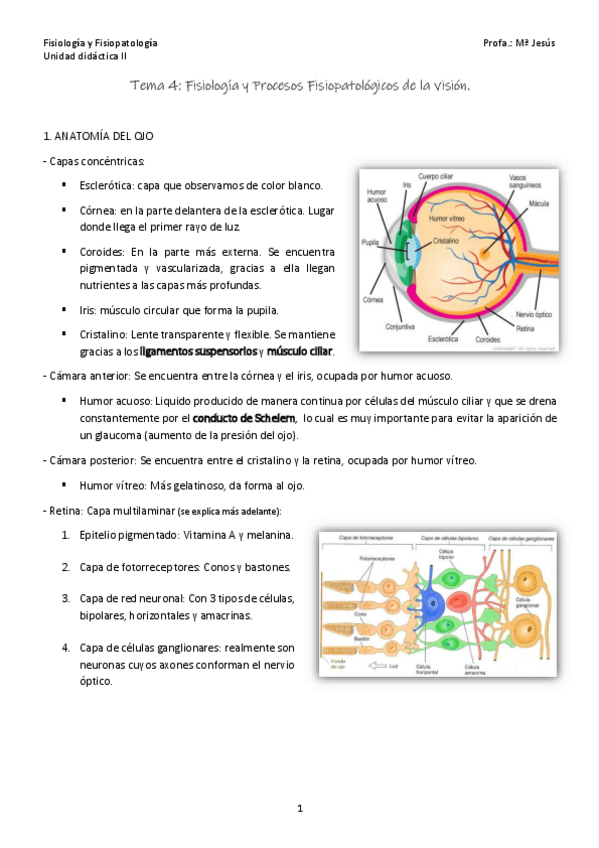 Miniatura del documento Tema-4.pdf