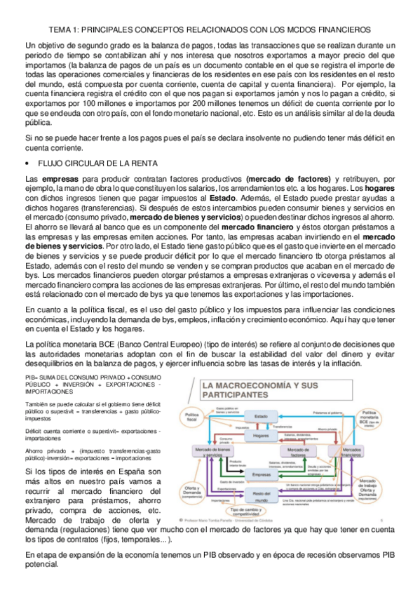 Miniatura del documento TEMA-1-PRINCIPALES-CONCEPTOS.pdf
