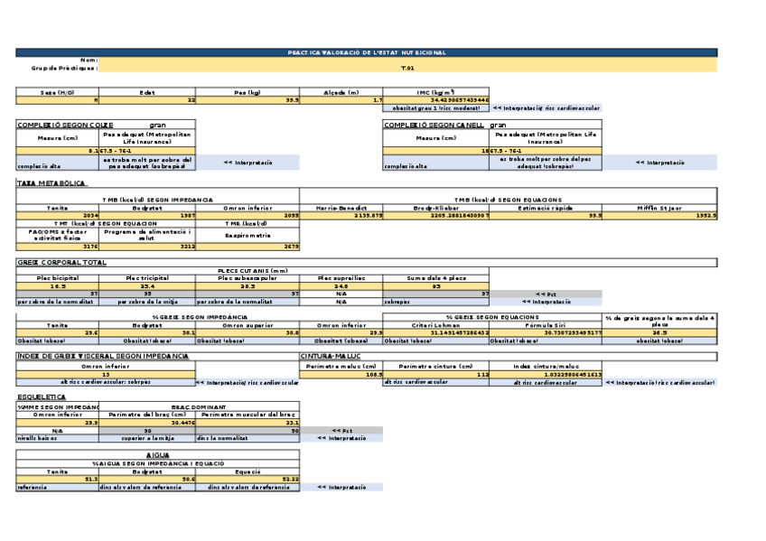 Miniatura del documento practica-1.xlsx