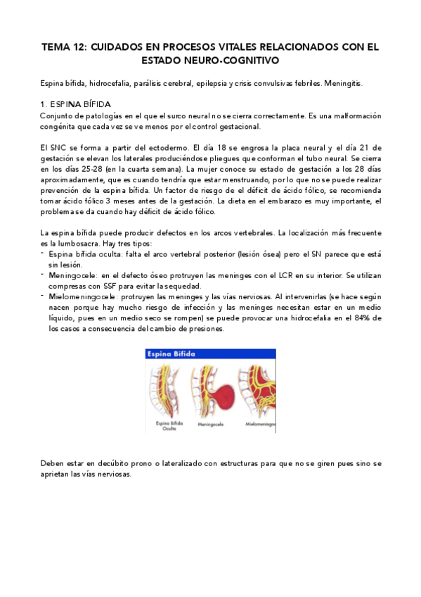 Miniatura del documento Tema-12-Estado-neurocognitivo.pdf
