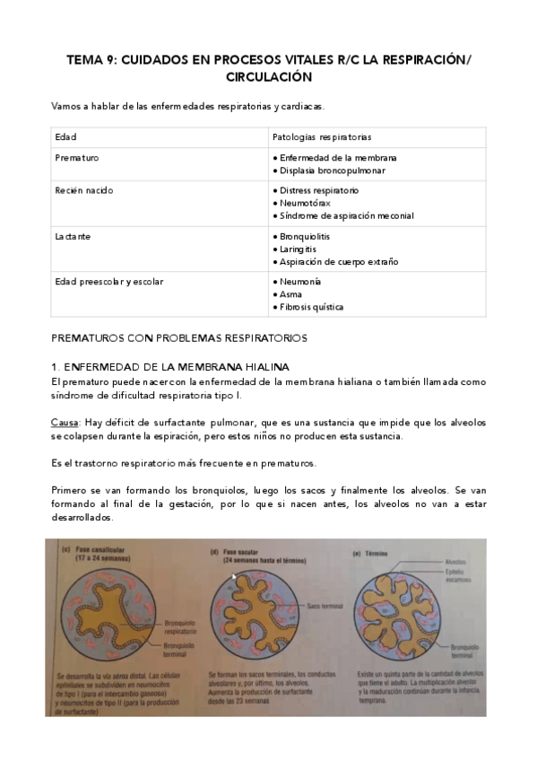 Miniatura del documento Tema-9-Resp-y-circ.pdf