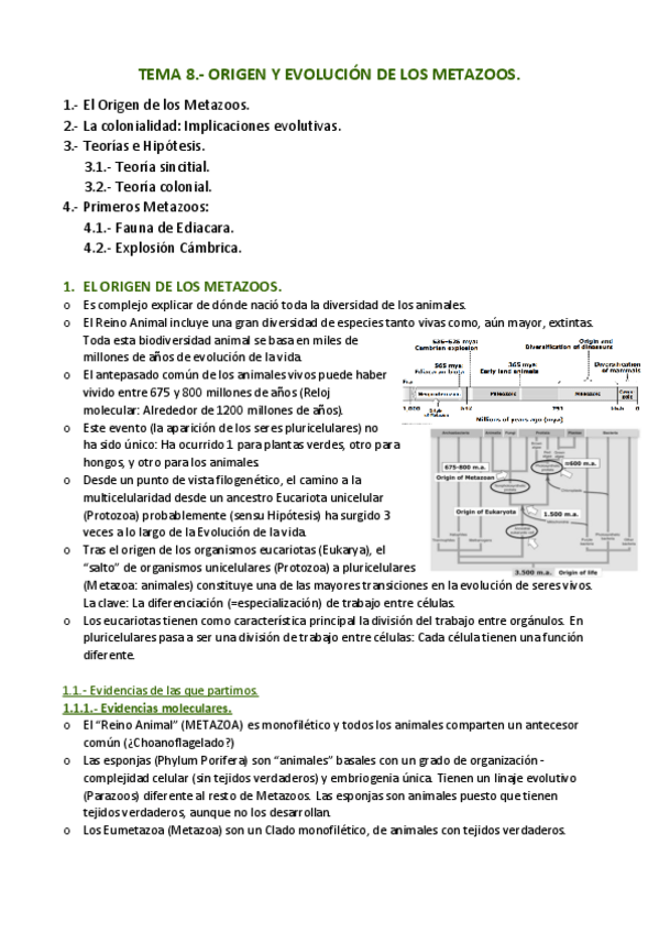 Miniatura del documento APUNTES-T.pdf