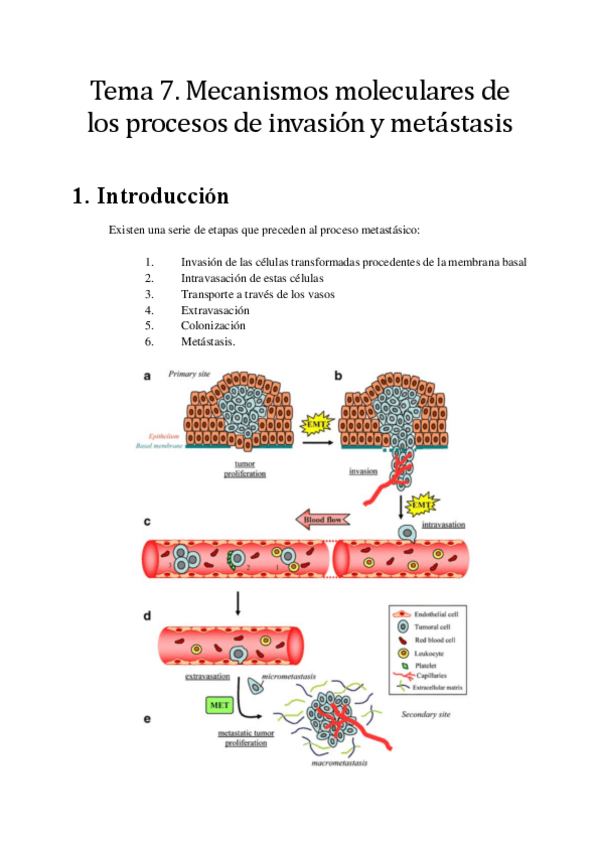 Miniatura del documento Tema-7.pdf