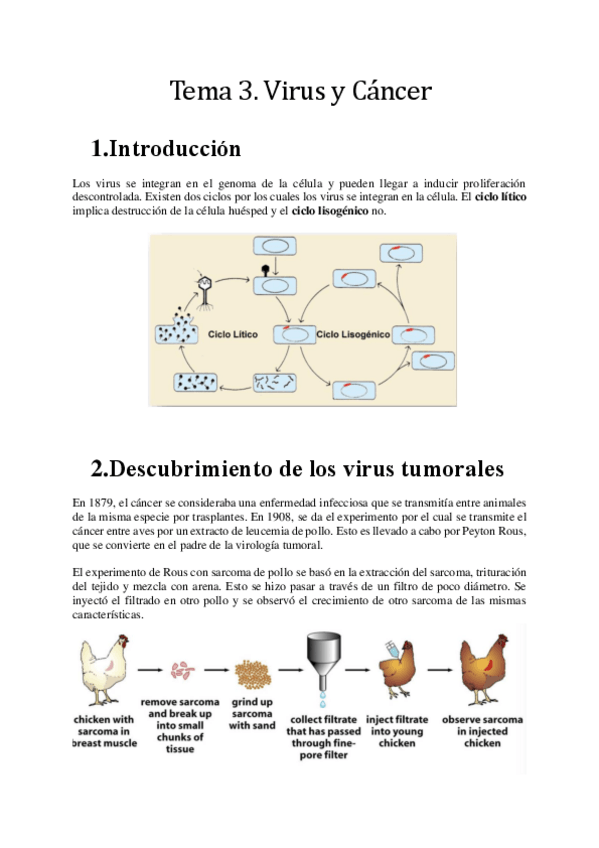 Miniatura del documento Tema-3.pdf