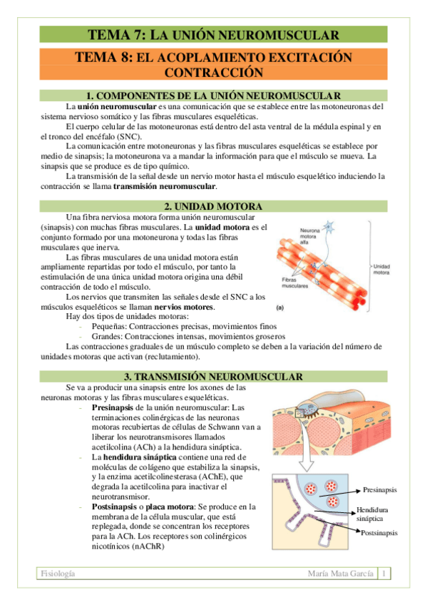 Miniatura del documento TEMA 7-8. U. neuromuscular + Contracción