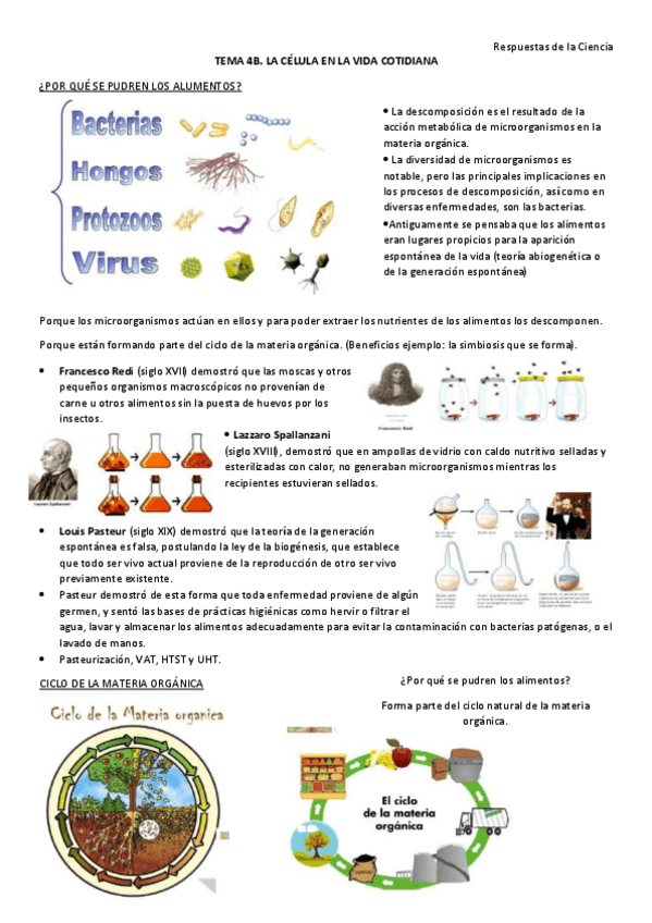 Miniatura del documento Apuntes-todo-4b.pdf