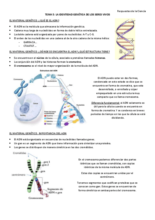 Miniatura del documento Tema-5-todo.pdf