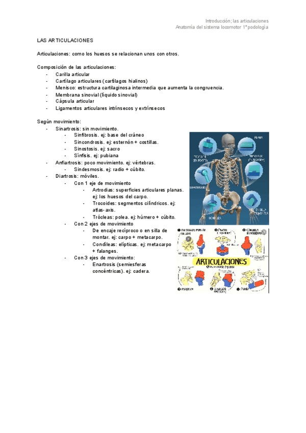 Miniatura del documento introduccion-las-articulaciones.pdf