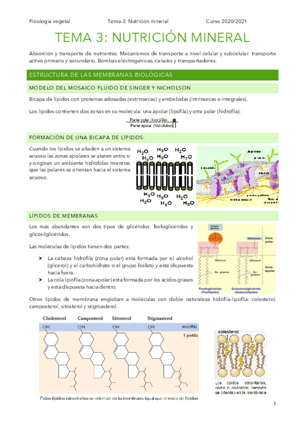 Miniatura del documento t3.pdf