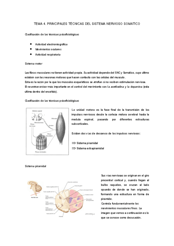 Miniatura del documento Tema-4.pdf