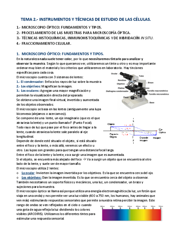 Miniatura del documento APUNTES-T.pdf