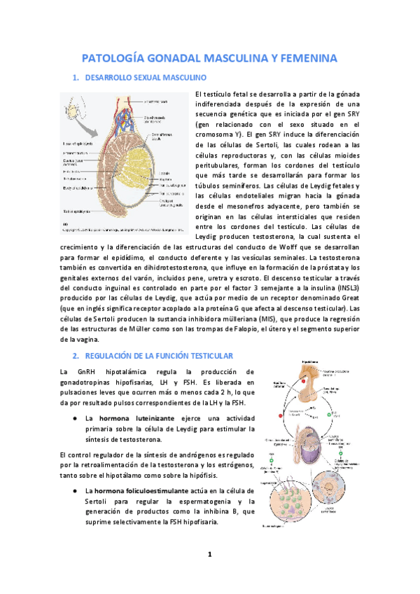Miniatura del documento Tema-18.pdf