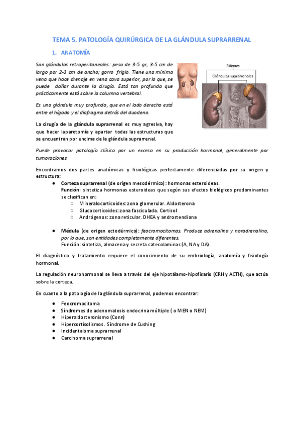 Miniatura del documento Tema-5.pdf